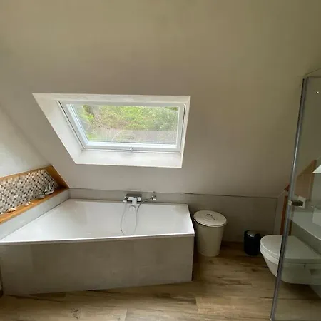 Im Thueringer Wald 度假居 *